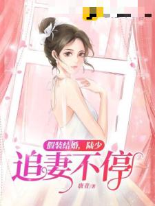 假装结婚，陆少追妻不停
