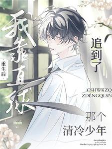 重生后我靠直球追到了那清冷少年